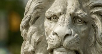 Detalles de la personalidad de Leo - LeoHoy.net
